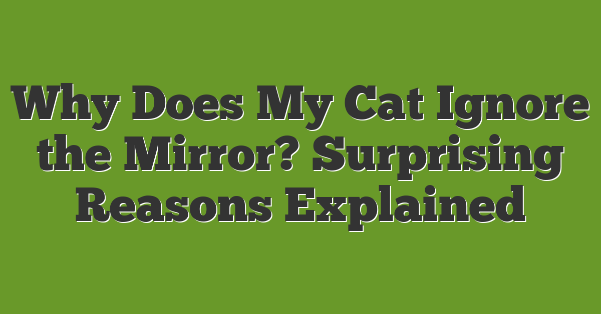 Why Does My Cat Ignore the Mirror? Surprising Reasons Explained