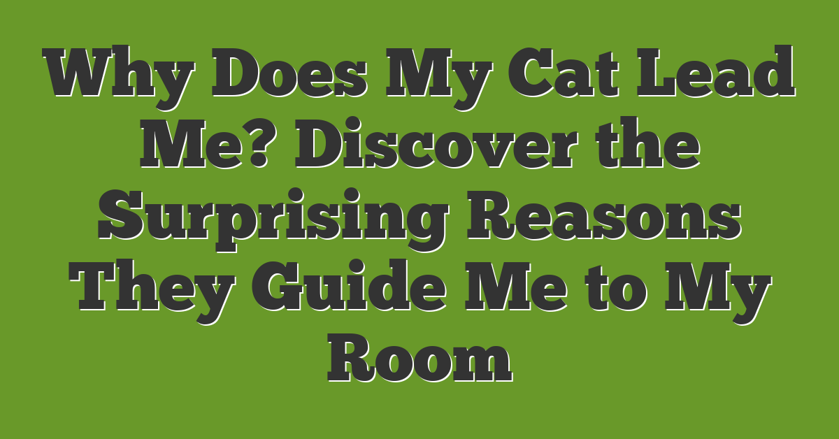 Why Does My Cat Lead Me? Discover the Surprising Reasons They Guide Me to My Room