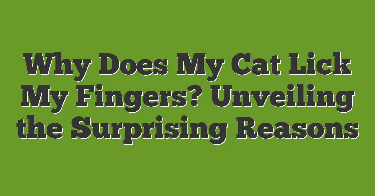 Why Does My Cat Lick My Fingers? Unveiling the Surprising Reasons