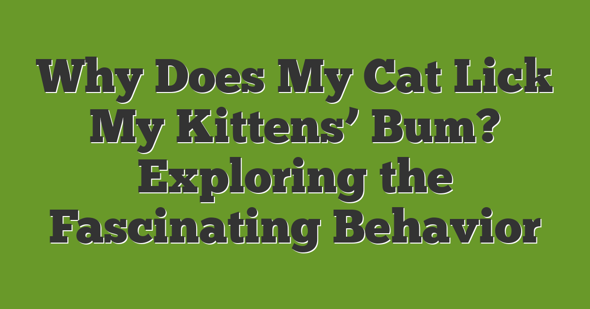 Why Does My Cat Lick My Kittens’ Bum? Exploring the Fascinating Behavior