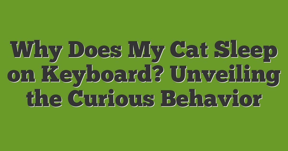 Why Does My Cat Sleep on Keyboard? Unveiling the Curious Behavior