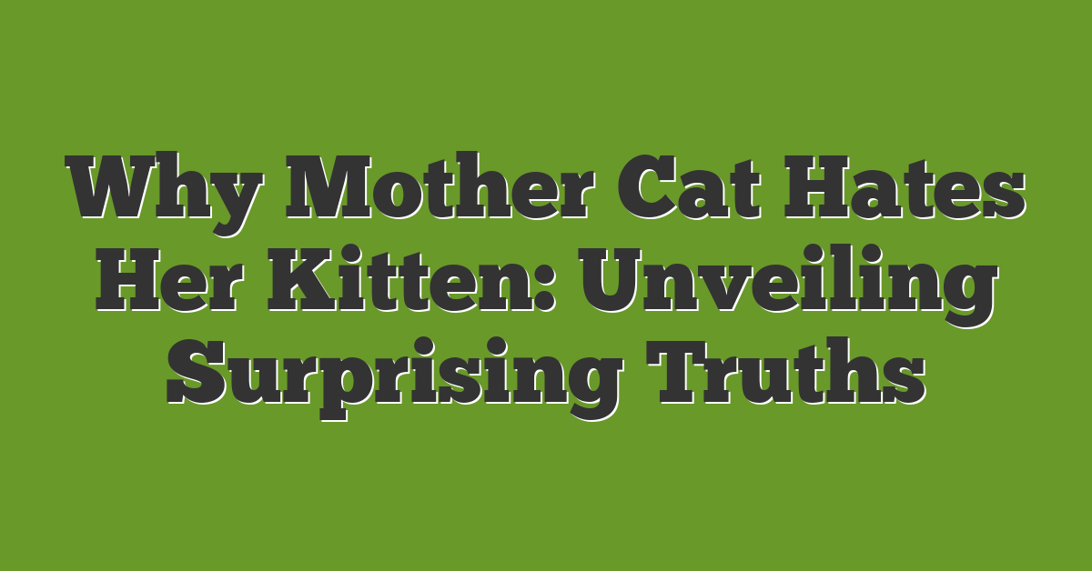 Why Mother Cat Hates Her Kitten: Unveiling Surprising Truths