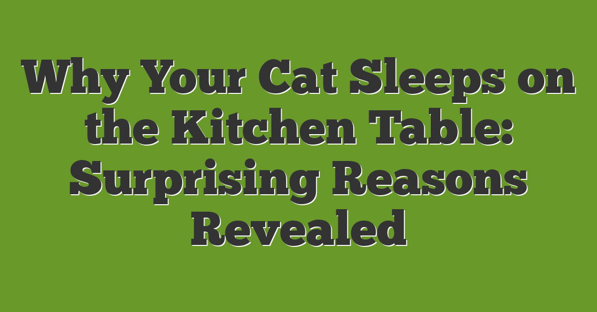 Why Your Cat Sleeps on the Kitchen Table: Surprising Reasons Revealed