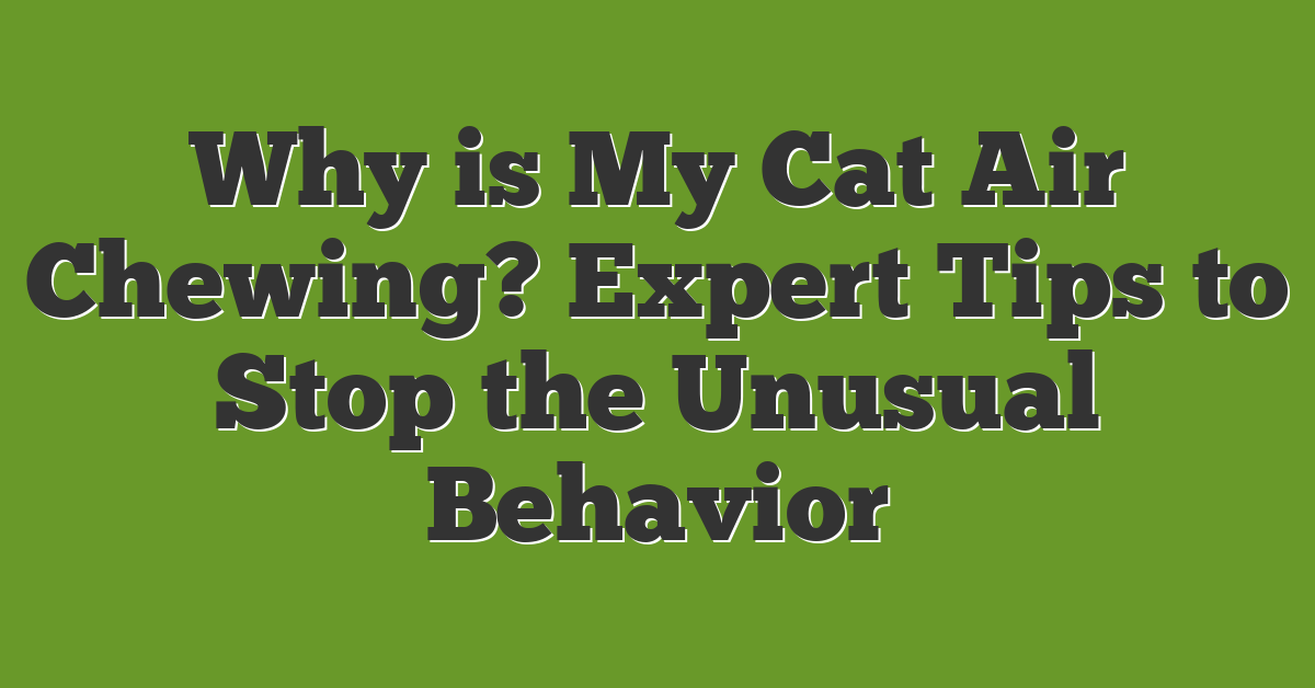 Why is My Cat Air Chewing? Expert Tips to Stop the Unusual Behavior