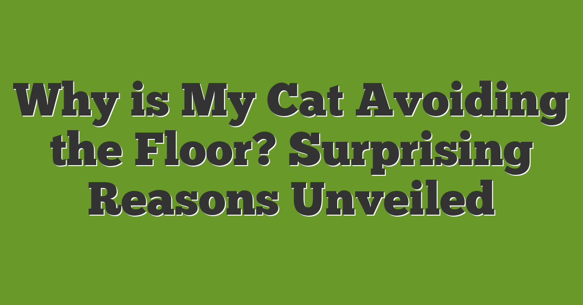 Why is My Cat Avoiding the Floor? Surprising Reasons Unveiled