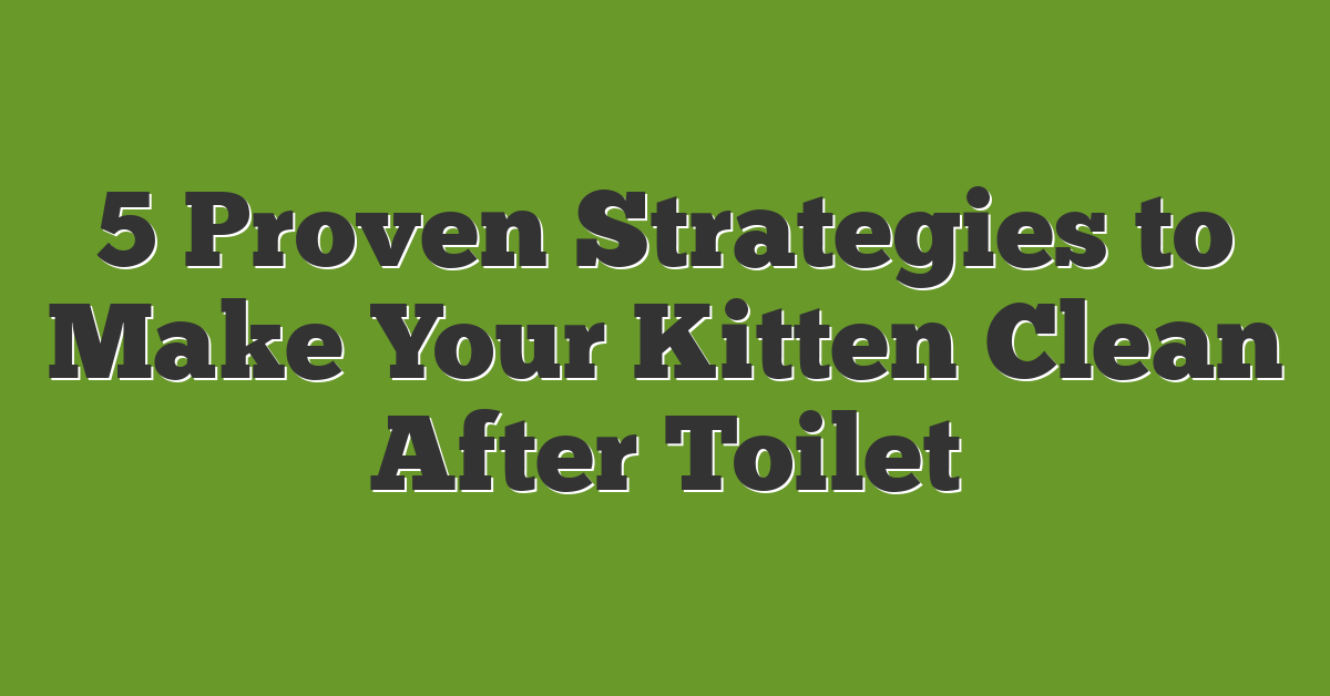 5 Proven Strategies to Make Your Kitten Clean After Toilet