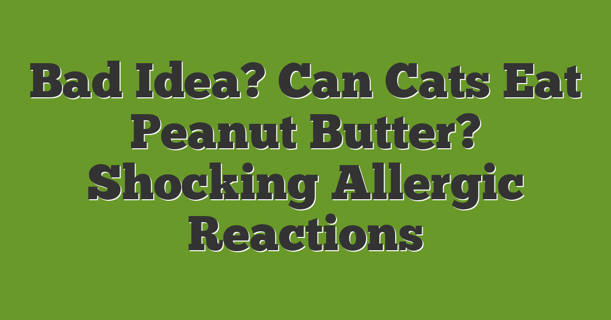 Bad Idea? Can Cats Eat Peanut Butter? Shocking Allergic Reactions