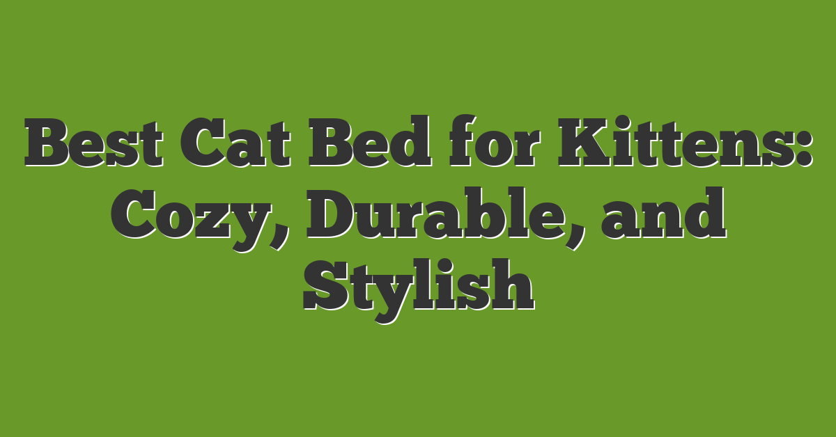 Best Cat Bed for Kittens: Cozy, Durable, and Stylish