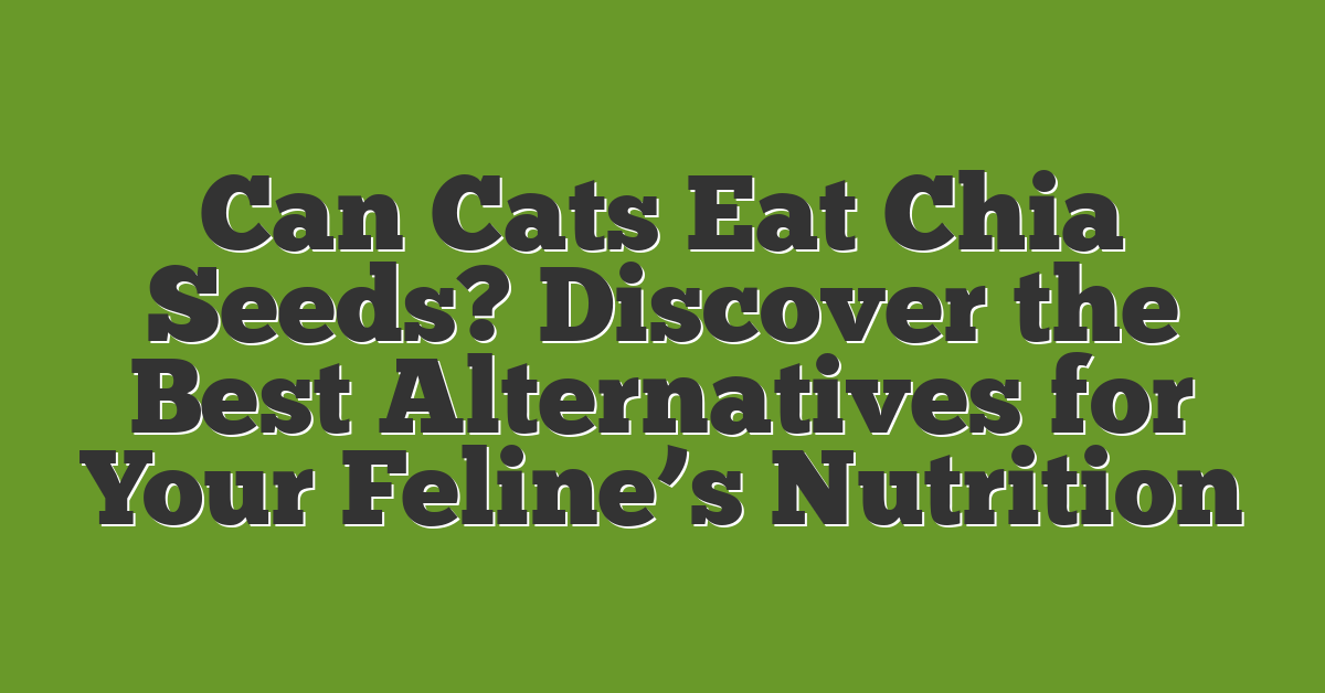 Can Cats Eat Chia Seeds? Discover the Best Alternatives for Your Feline’s Nutrition