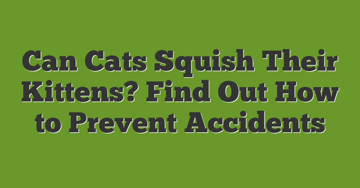 Can Cats Squish Their Kittens? Find Out How to Prevent Accidents