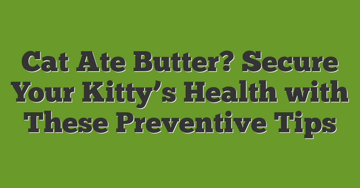 Cat Ate Butter? Secure Your Kitty’s Health with These Preventive Tips