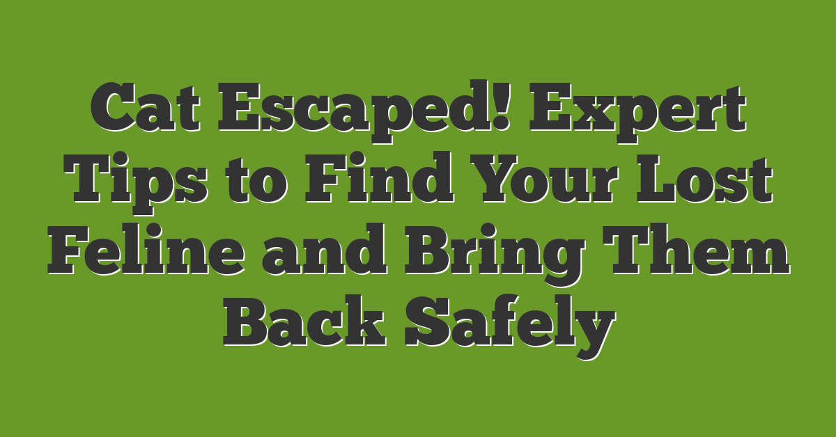 Cat Escaped! Expert Tips to Find Your Lost Feline and Bring Them Back Safely