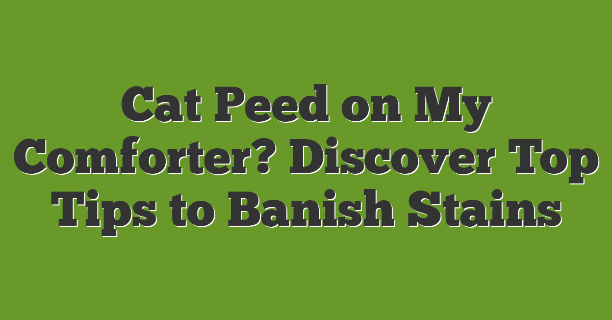 Cat Peed on My Comforter? Discover Top Tips to Banish Stains