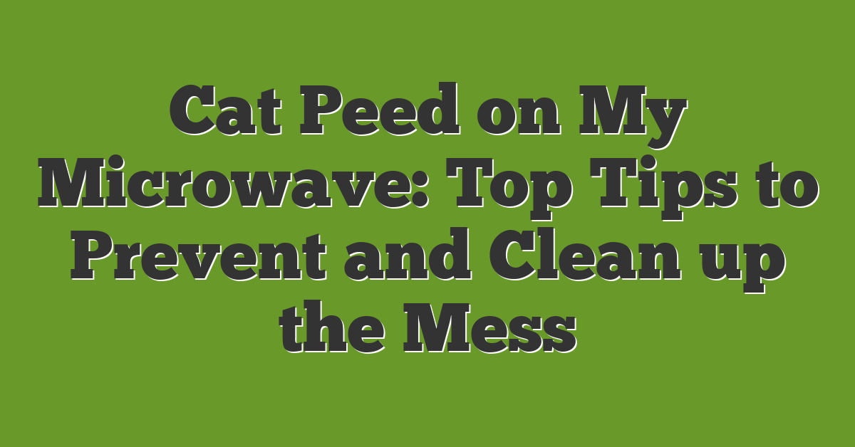 Cat Peed on My Microwave: Top Tips to Prevent and Clean up the Mess