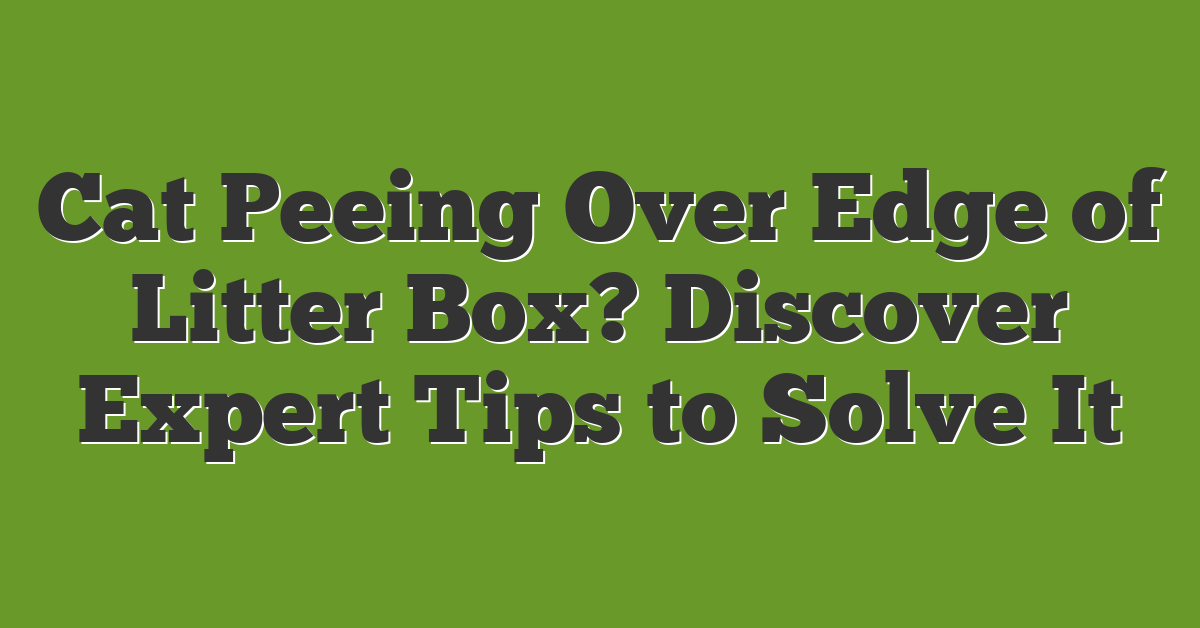 Cat Peeing Over Edge of Litter Box? Discover Expert Tips to Solve It