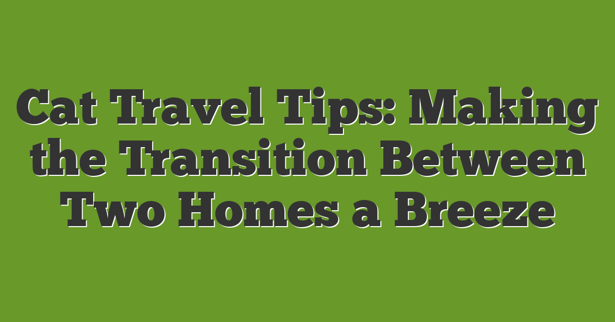 Cat Travel Tips: Making the Transition Between Two Homes a Breeze