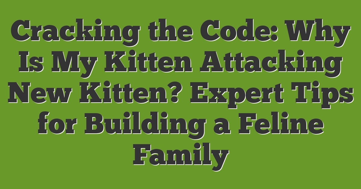 Cracking the Code: Why Is My Kitten Attacking New Kitten? Expert Tips for Building a Feline Family