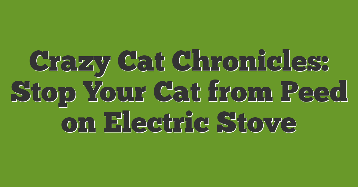 Crazy Cat Chronicles: Stop Your Cat from Peed on Electric Stove