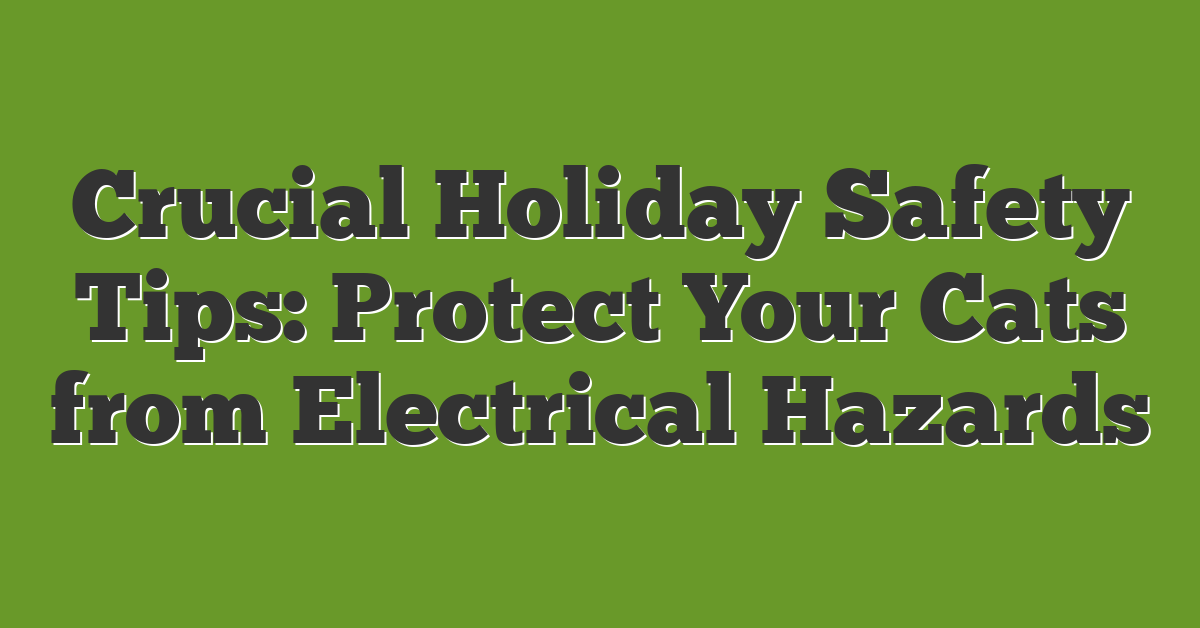 Crucial Holiday Safety Tips: Protect Your Cats from Electrical Hazards