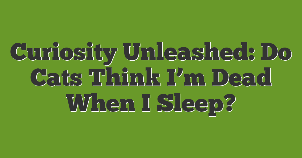 Curiosity Unleashed: Do Cats Think I’m Dead When I Sleep?