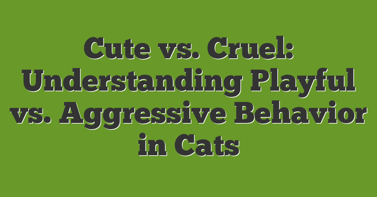 Cute vs. Cruel: Understanding Playful vs. Aggressive Behavior in Cats