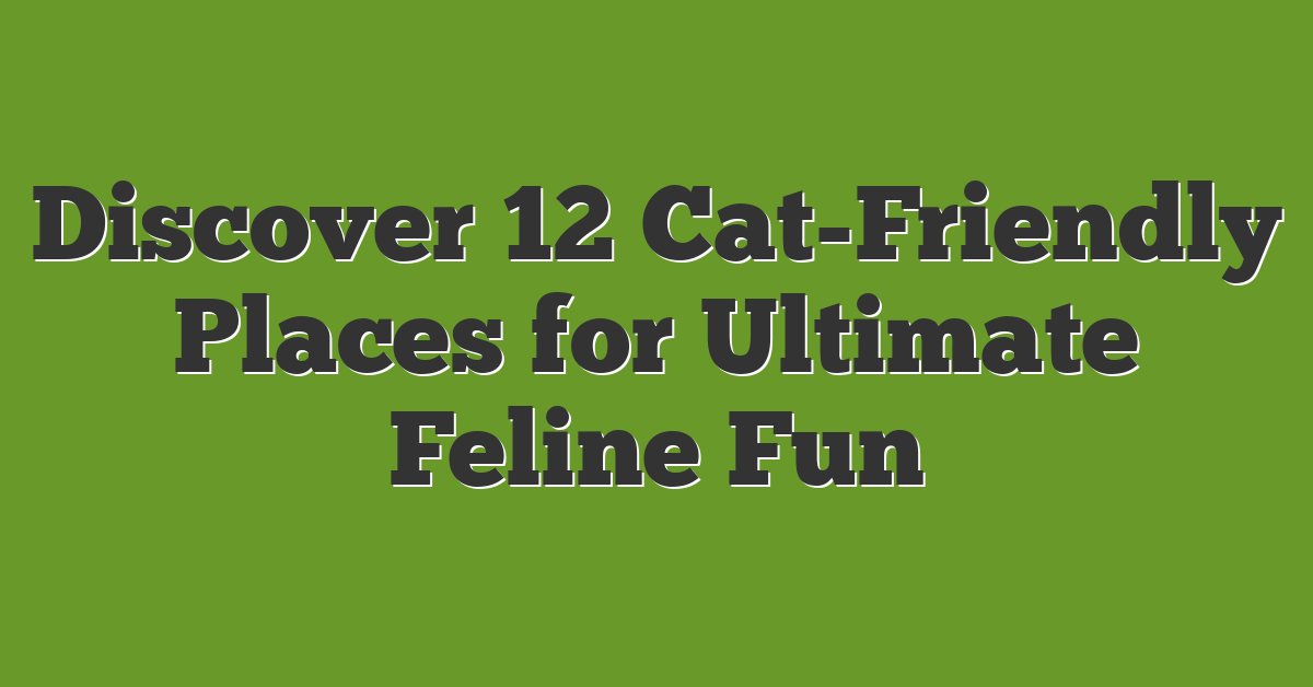 Discover 12 Cat-Friendly Places for Ultimate Feline Fun