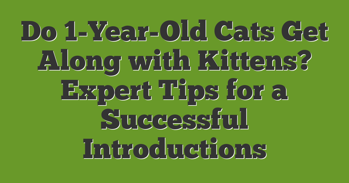 Do 1-Year-Old Cats Get Along with Kittens? Expert Tips for a Successful Introductions