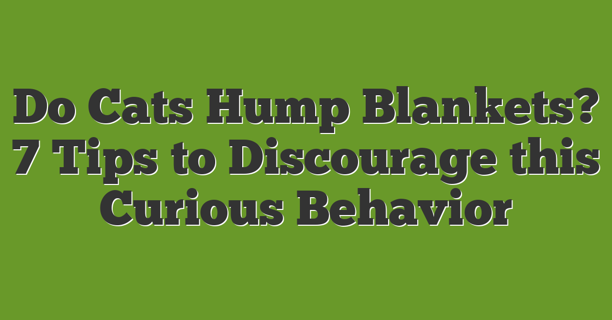 Do Cats Hump Blankets? 7 Tips to Discourage this Curious Behavior