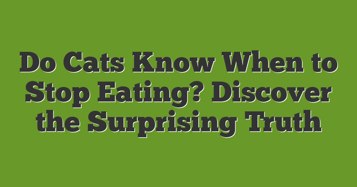 Do Cats Know When to Stop Eating? Discover the Surprising Truth