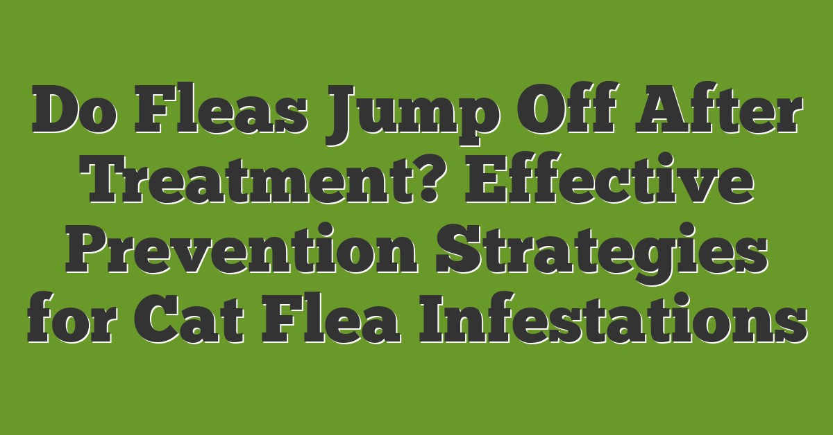 Do Fleas Jump Off After Treatment? Effective Prevention Strategies for Cat Flea Infestations