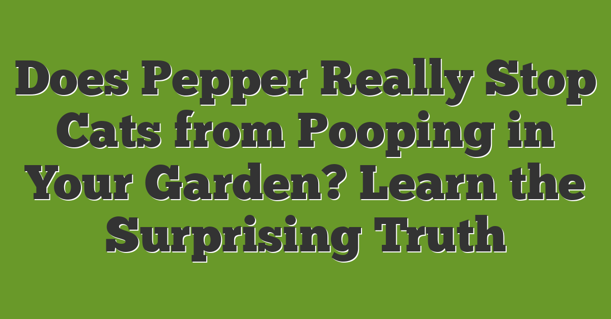 Does Pepper Really Stop Cats from Pooping in Your Garden? Learn the Surprising Truth