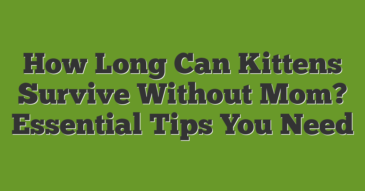 How Long Can Kittens Survive Without Mom? Essential Tips You Need