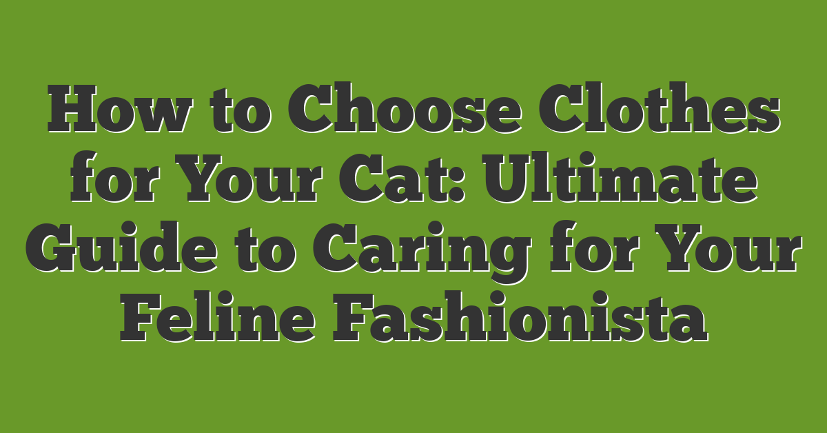 How to Choose Clothes for Your Cat: Ultimate Guide to Caring for Your Feline Fashionista