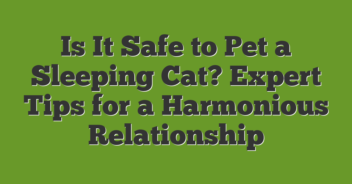 Is It Safe to Pet a Sleeping Cat? Expert Tips for a Harmonious Relationship