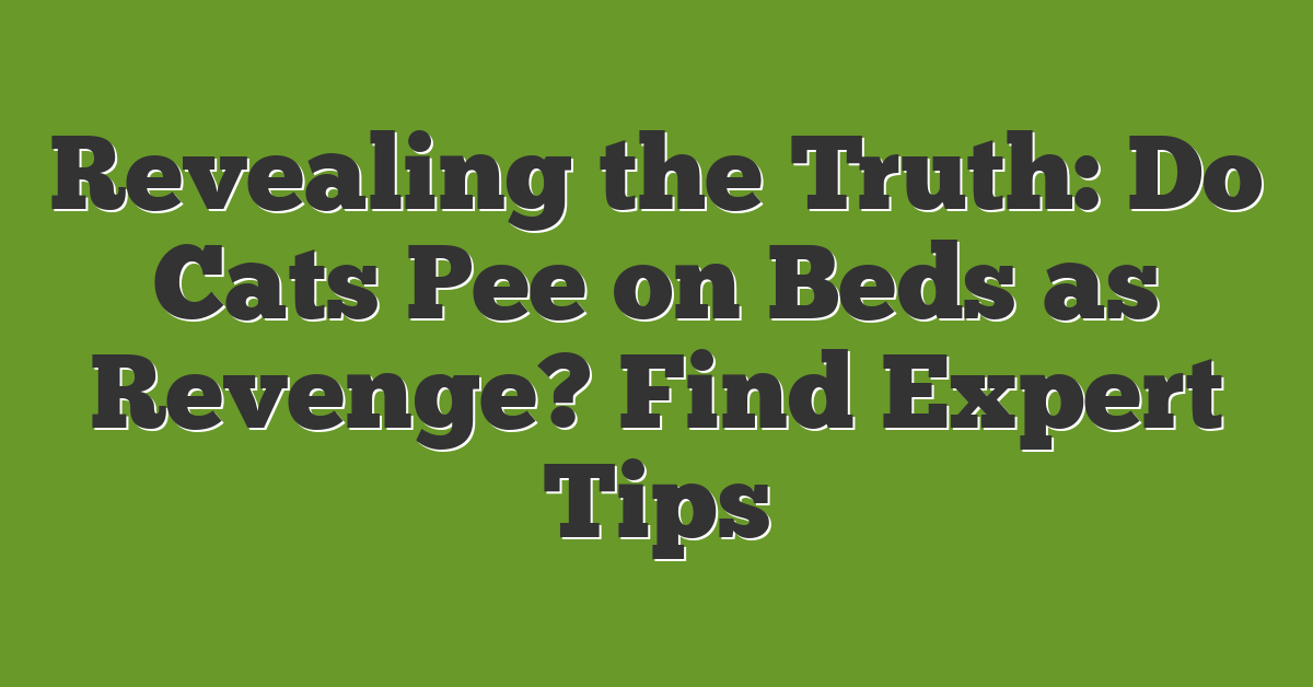 Revealing the Truth: Do Cats Pee on Beds as Revenge? Find Expert Tips