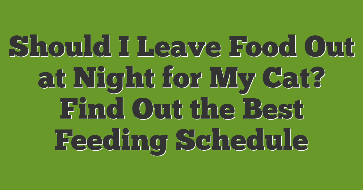 Should I Leave Food Out at Night for My Cat? Find Out the Best Feeding Schedule