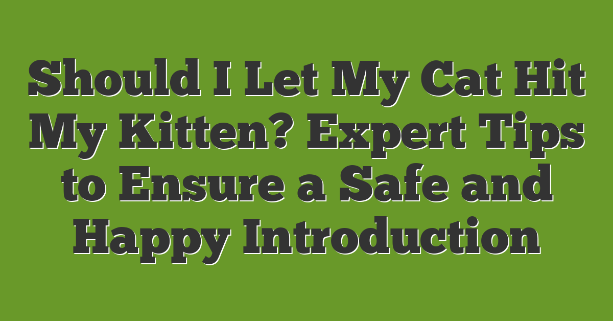 Should I Let My Cat Hit My Kitten? Expert Tips to Ensure a Safe and Happy Introduction