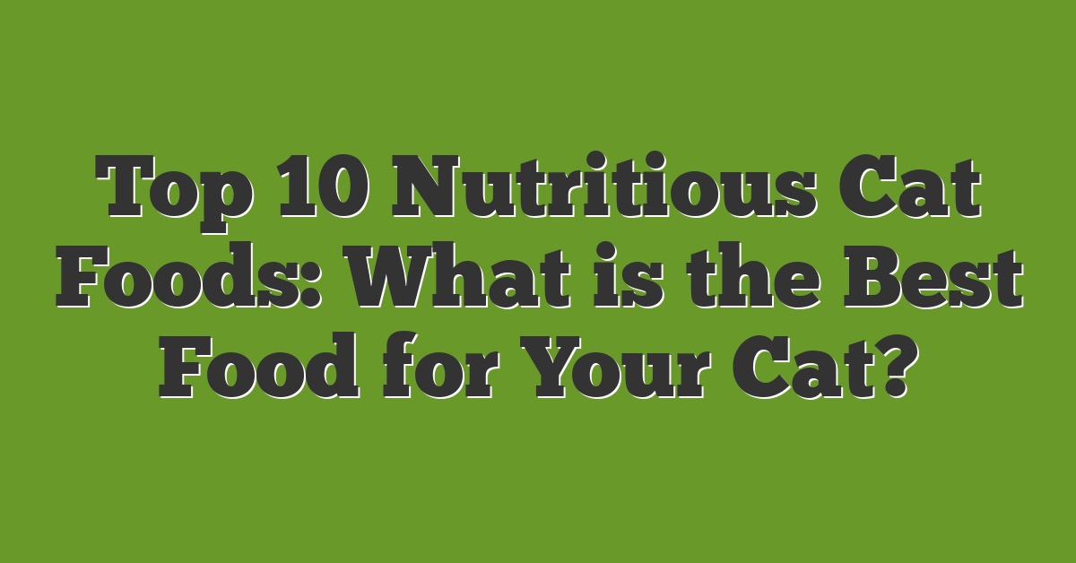 Top 10 Nutritious Cat Foods: What is the Best Food for Your Cat?