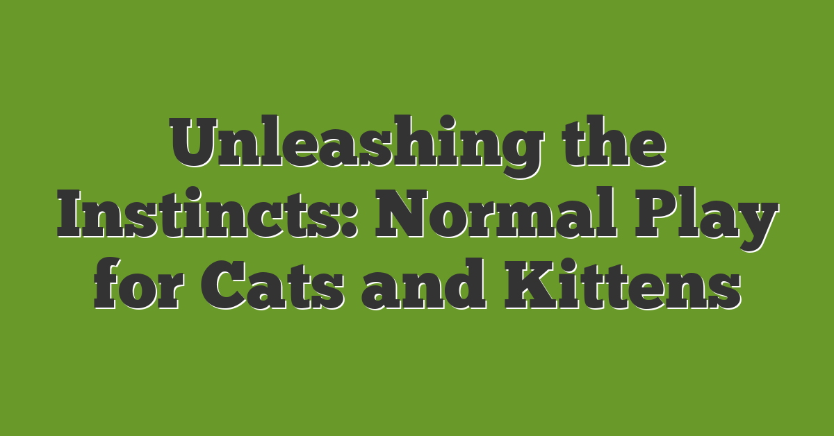 Unleashing the Instincts: Normal Play for Cats and Kittens