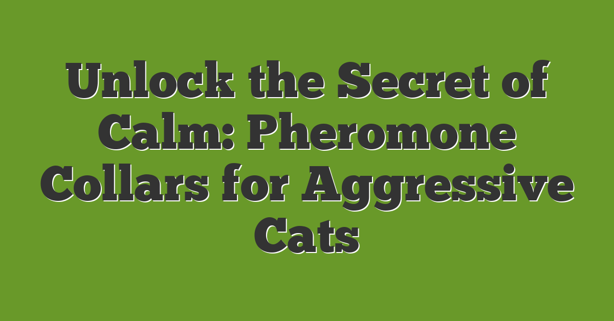 Unlock the Secret of Calm: Pheromone Collars for Aggressive Cats