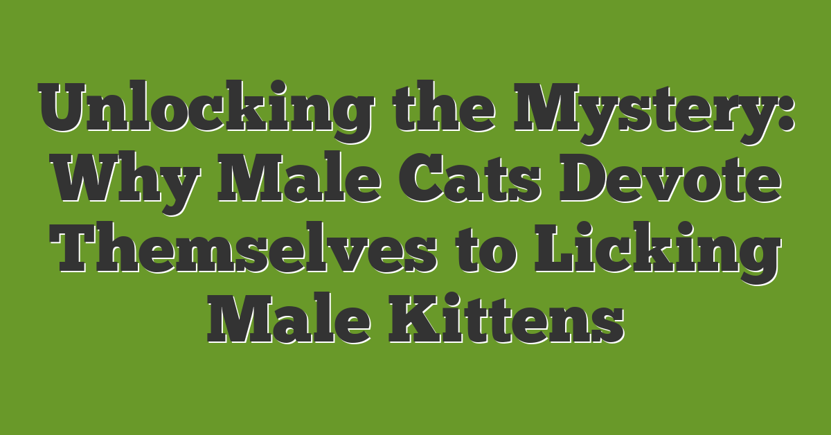 Unlocking the Mystery: Why Male Cats Devote Themselves to Licking Male Kittens