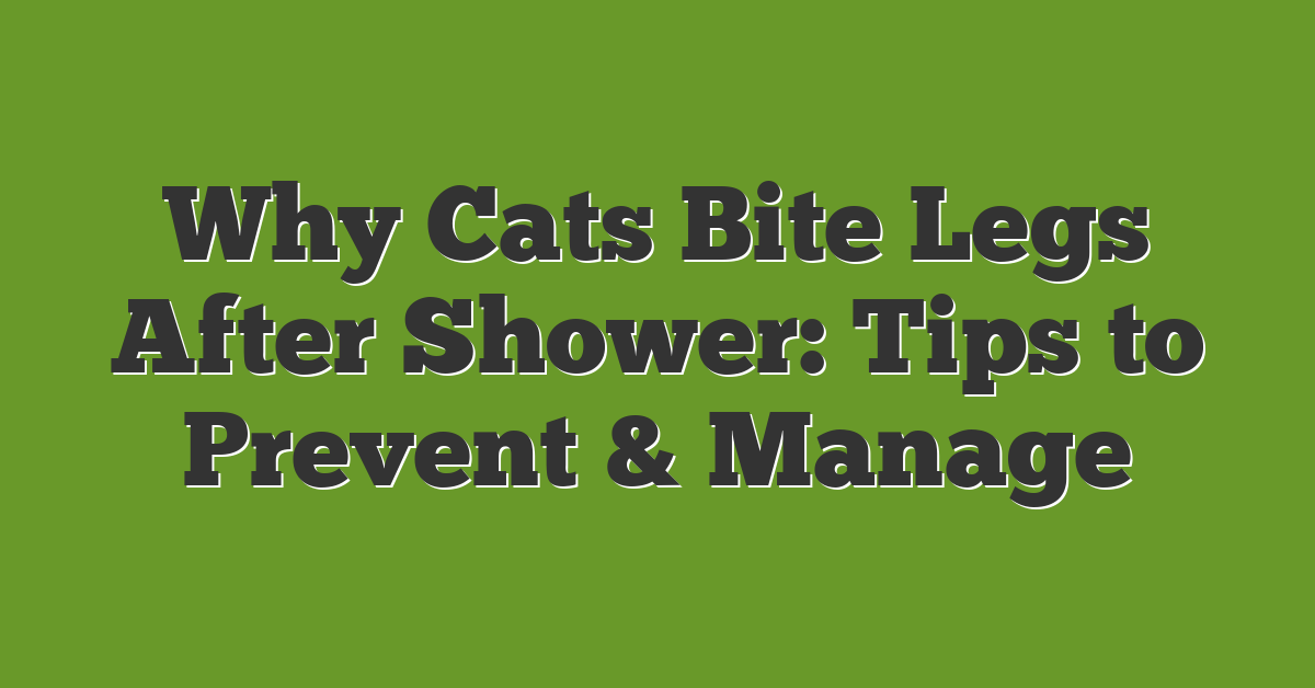 Why Cats Bite Legs After Shower: Tips to Prevent & Manage