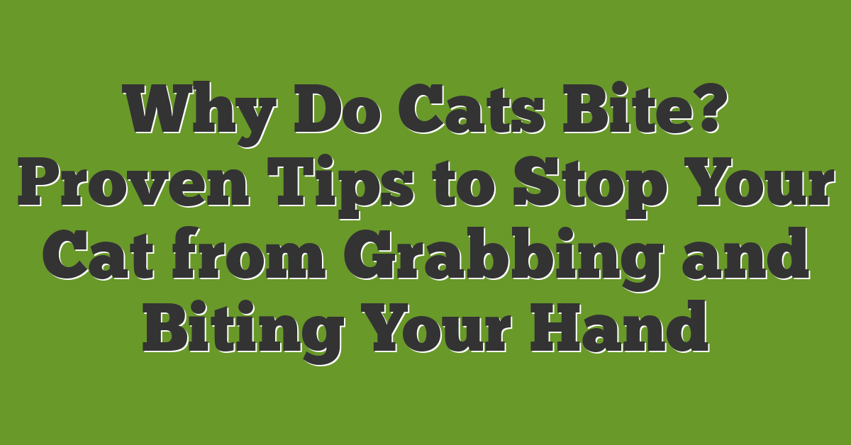 Why Do Cats Bite? Proven Tips to Stop Your Cat from Grabbing and Biting Your Hand