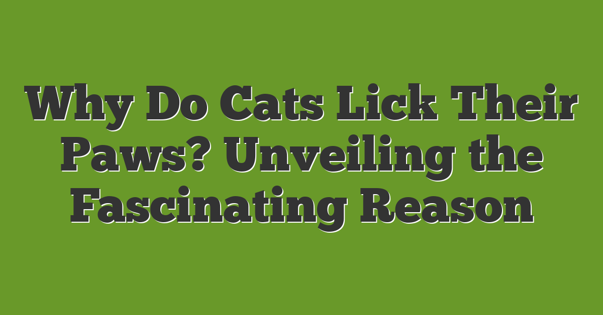 Why Do Cats Lick Their Paws? Unveiling the Fascinating Reason