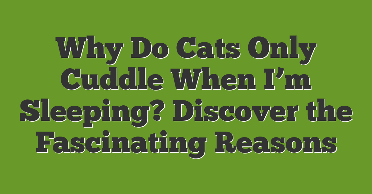 Why Do Cats Only Cuddle When I’m Sleeping? Discover the Fascinating Reasons