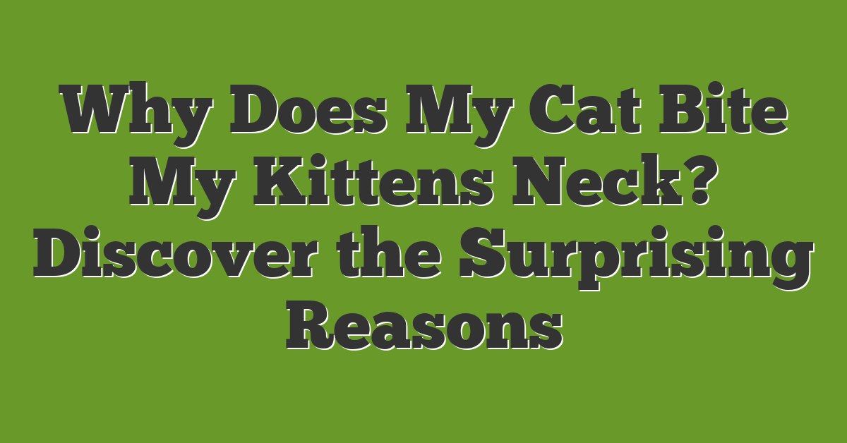 Why Does My Cat Bite My Kittens Neck? Discover the Surprising Reasons