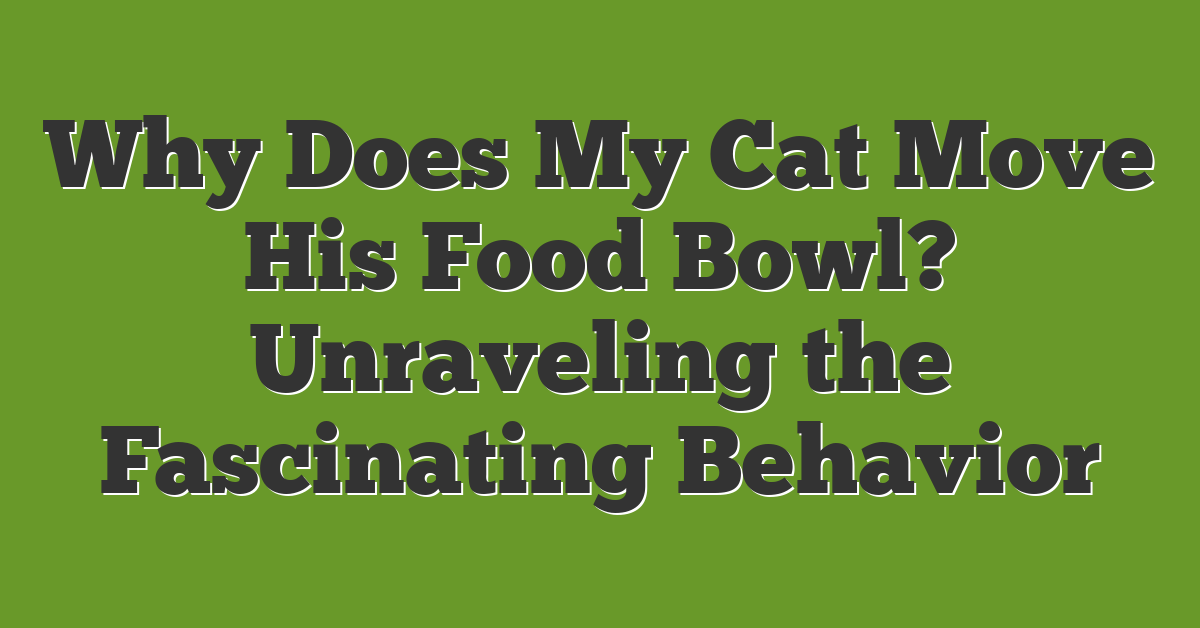 Why Does My Cat Move His Food Bowl? Unraveling the Fascinating Behavior
