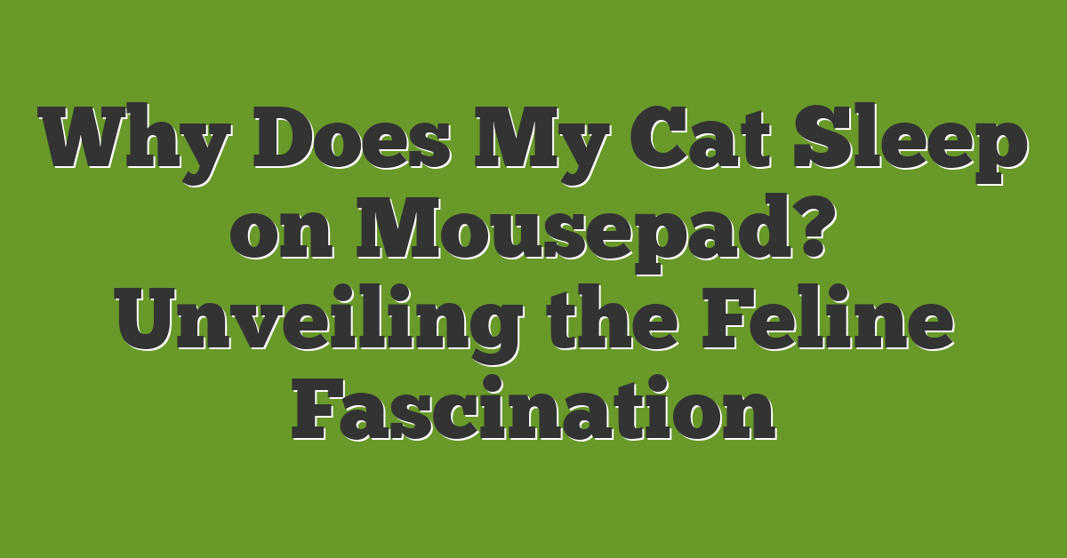 Why Does My Cat Sleep on Mousepad? Unveiling the Feline Fascination