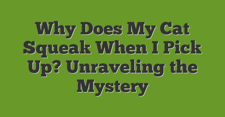 Why Does My Cat Squeak When I Pick Up? Unraveling The Mystery