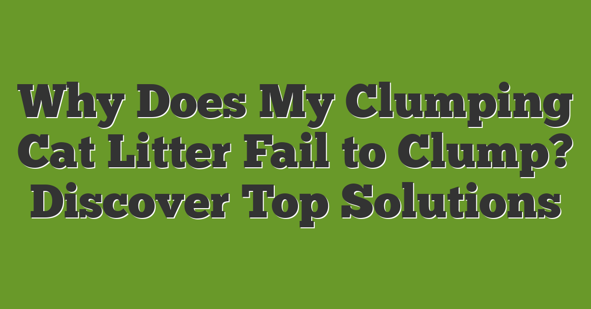 Why Does My Clumping Cat Litter Fail to Clump? Discover Top Solutions